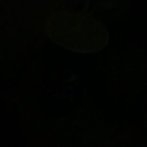 Meet your Posher, Lexie